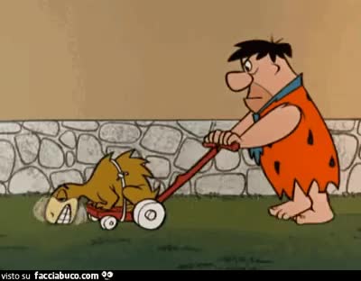 Gif Animata