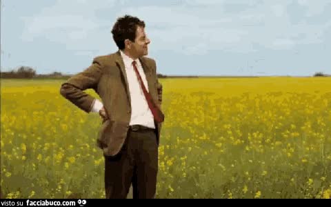 gif animata