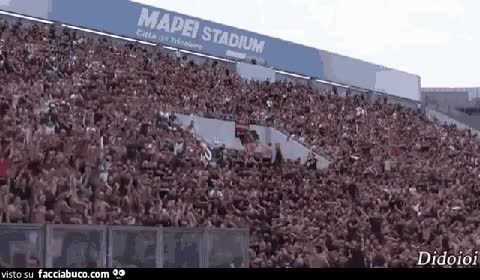 gif animata