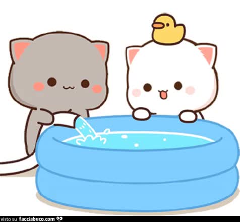 gif animata