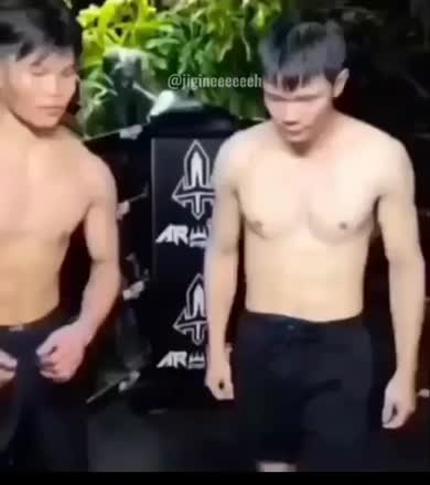 Gif Animata