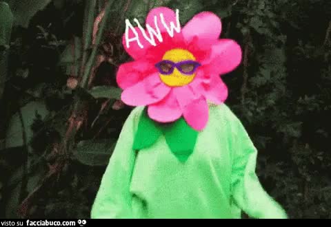 gif animata
