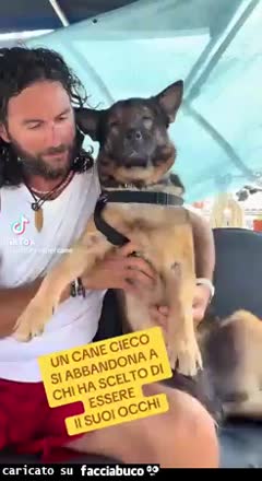 Gif Animata
