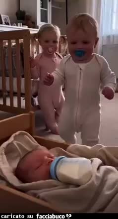 Gif Animata