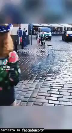 Gif Animata