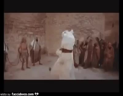 gif animata
