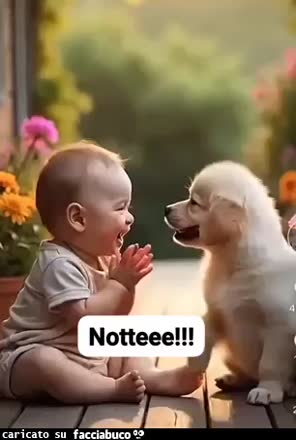Gif Animata