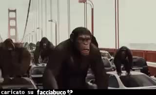 gif animata
