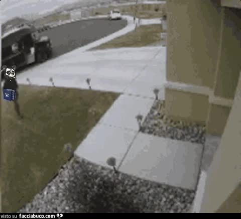 gif animata