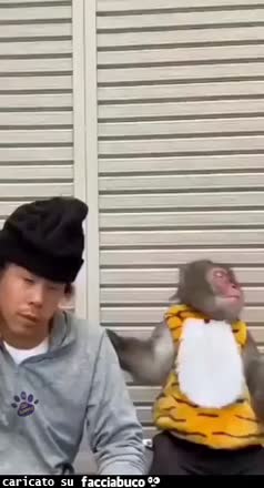 Gif Animata