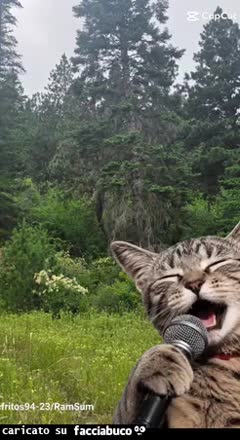 Gif Animata