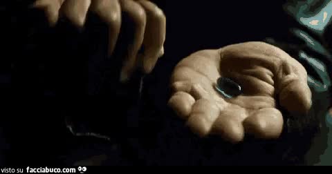gif animata