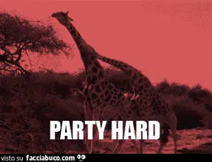 gif animata
