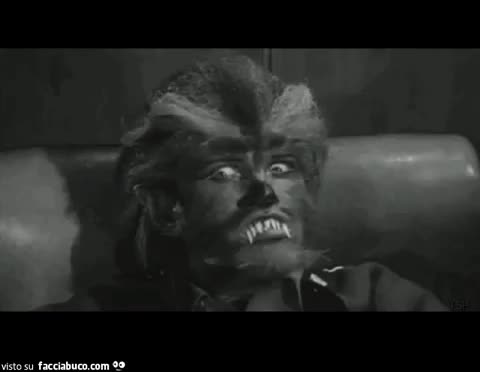 gif animata
