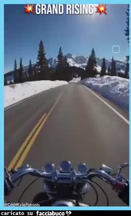 gif animata