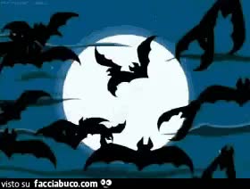 gif animata