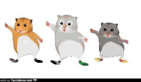 gif animata