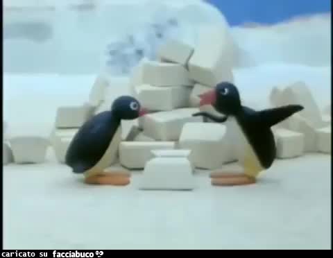 gif animata