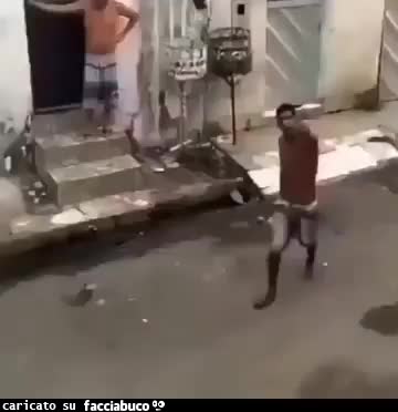 Gif Animata