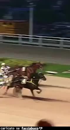 Gif Animata