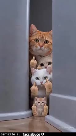 gif animata