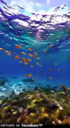 gif animata