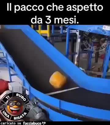 Gif Animata