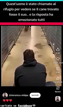 Gif Animata