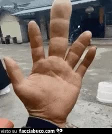 gif animata