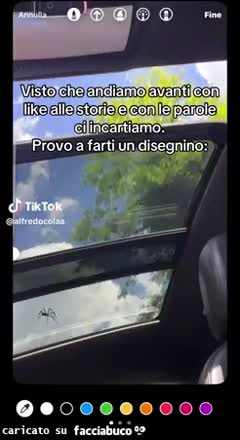 Gif Animata