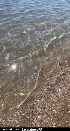 gif animata