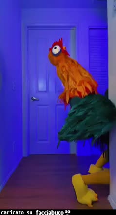 Gif Animata