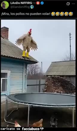 Gif Animata