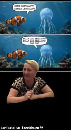 Gif Animata
