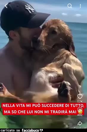 Gif Animata
