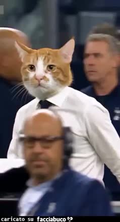 gif animata