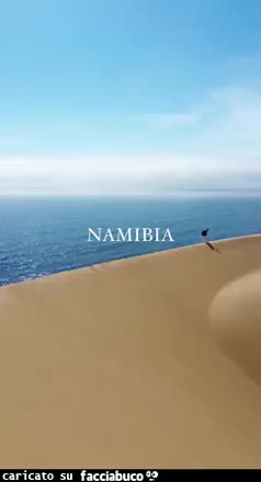 Gif Animata