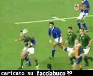 gif animata