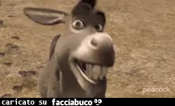 gif animata