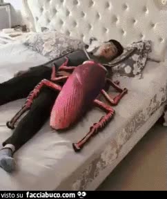 gif animata