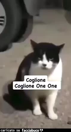gif animata