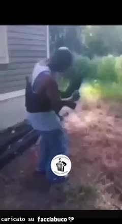 gif animata