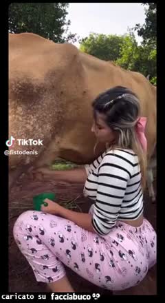 Gif Animata