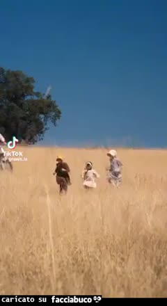 Gif Animata