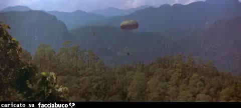 Gif Animata