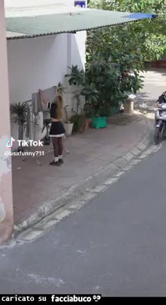 Gif Animata
