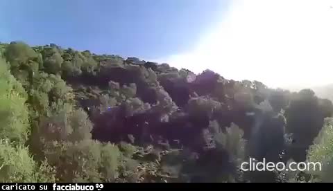 Gif Animata