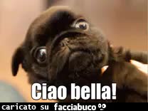 gif animata