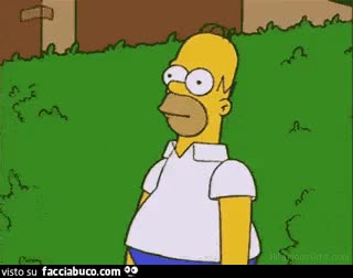 gif animata