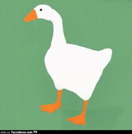 gif animata